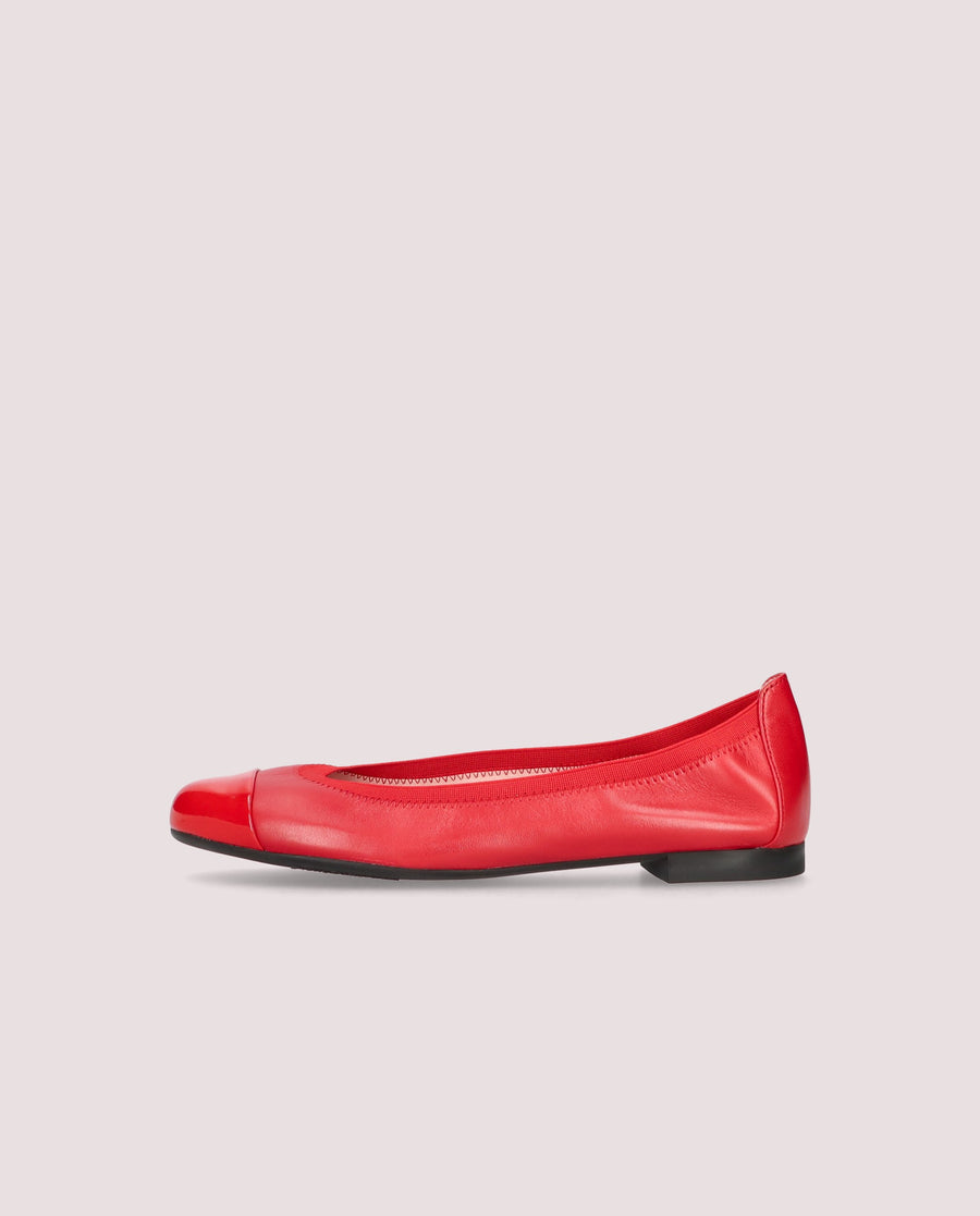 SHIRLEY SHADE ROUGE