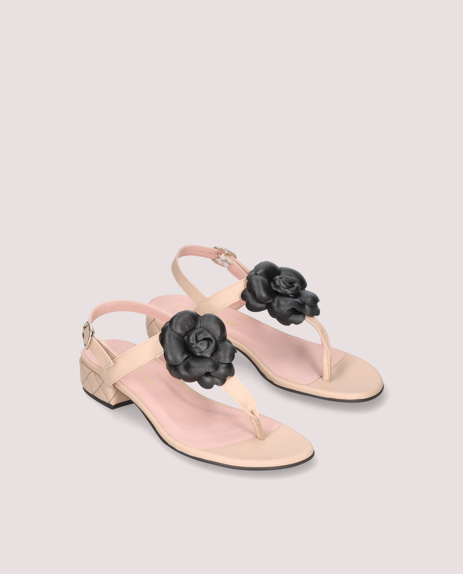 LULU COTON NEGRO