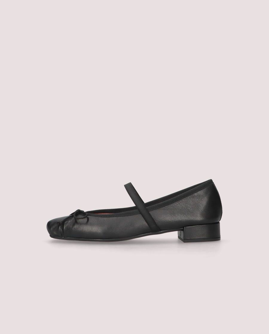 DAKOTA COTON NEGRO